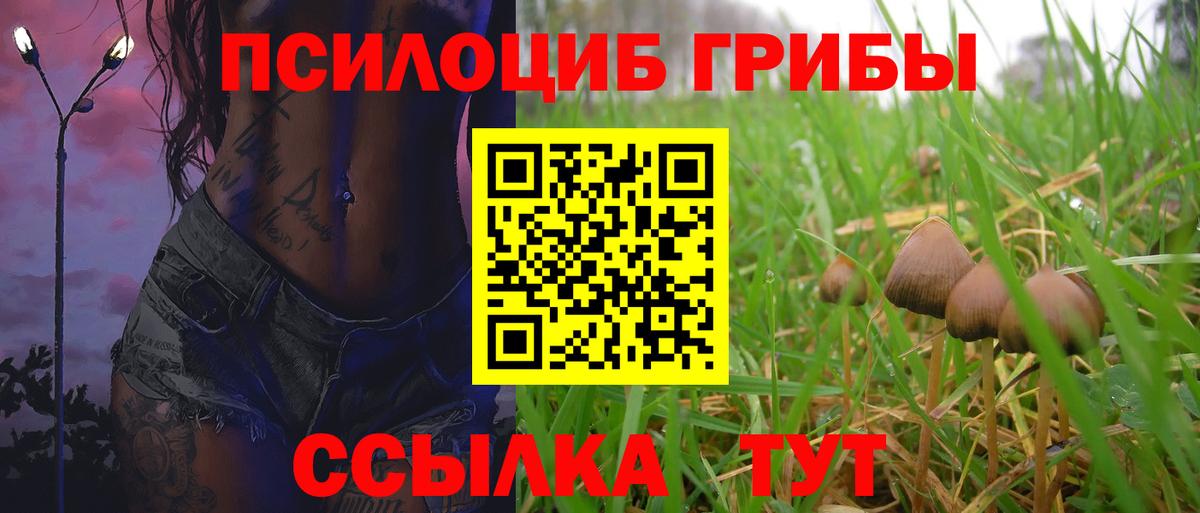 Галлюциногенные грибы прущие грибы  Вход с VPN  Нягань 